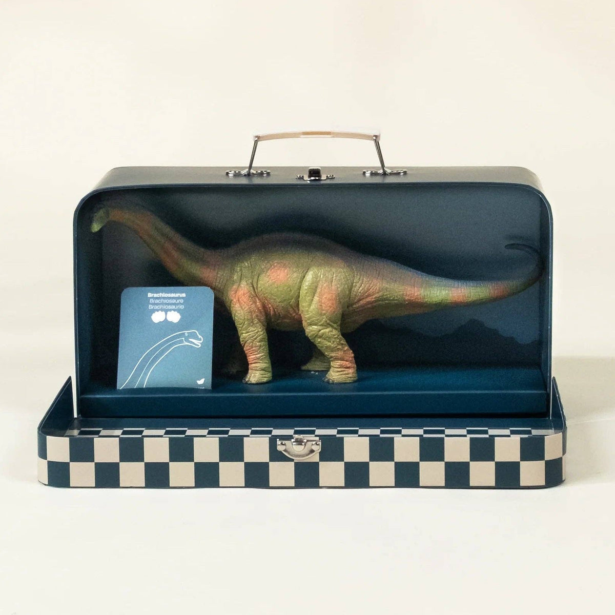 Brachiosaurus Dinosaur in a Collectable Box