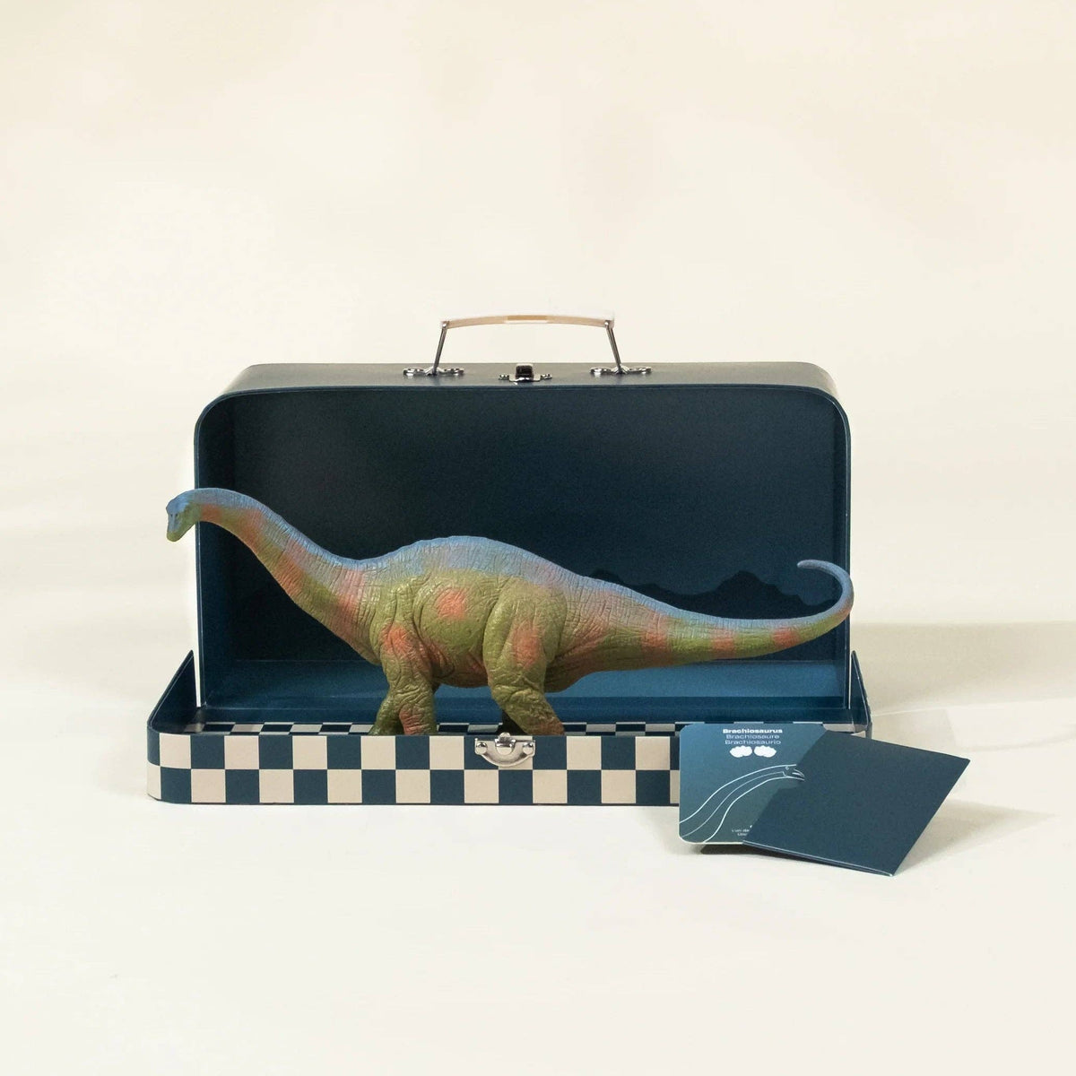 Brachiosaurus Dinosaur in a Collectable Box