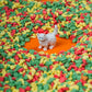 Sensory Toy Bottle Spy (Pets)