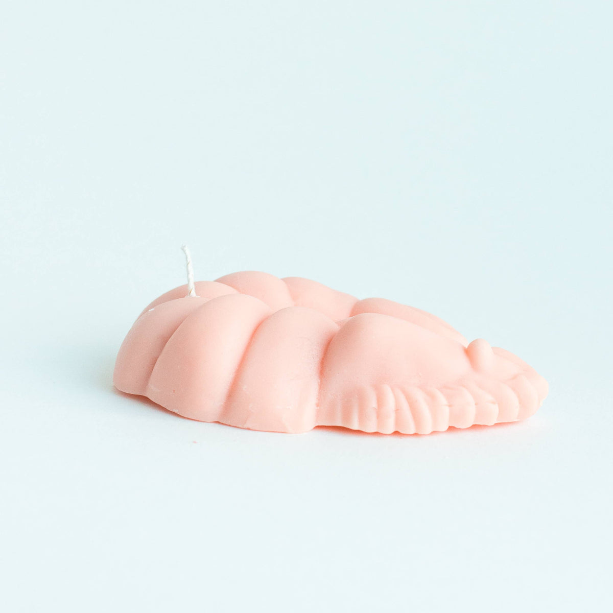 Shrimp Soy Wax Candle