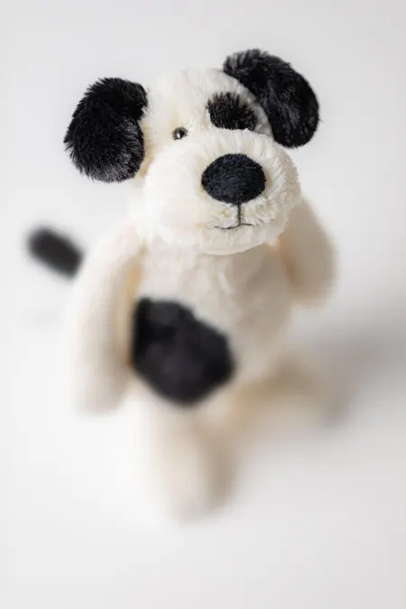 Jellycat Bashful Black & Cream Puppy