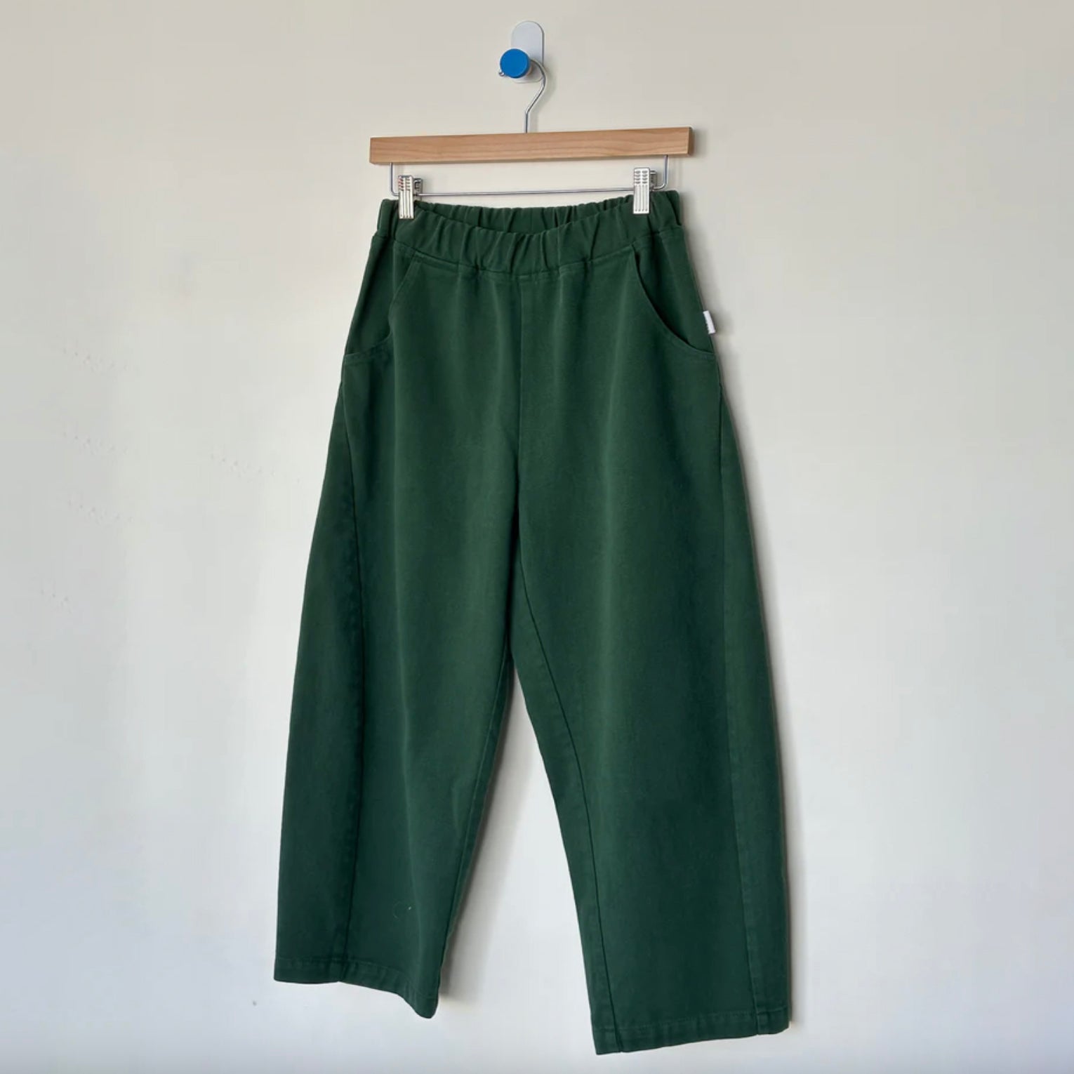 Green pants on a hanger against a white background