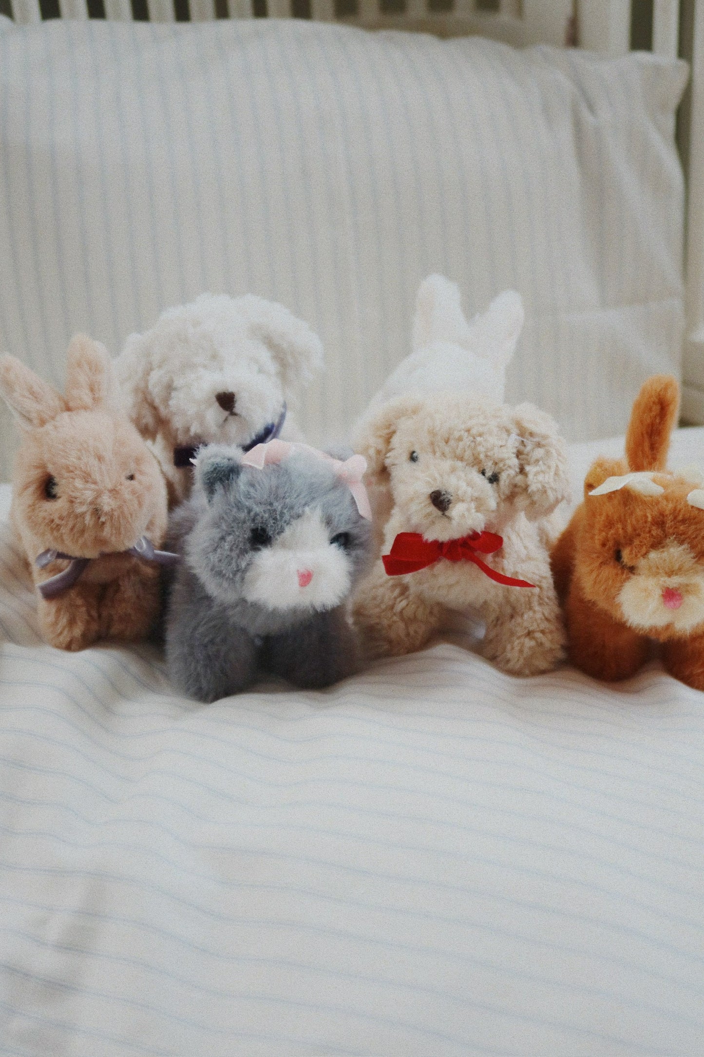 Konges Sløjd Baby Animals White Dog