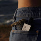 An image of a bottle of accrodisiaque perfume in a blue jean pocket with a faded background of a beach. In the pocket there is also a few brown/pink flowers. 