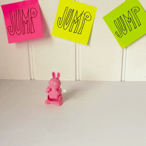 Wind-Up Jumping Bunny