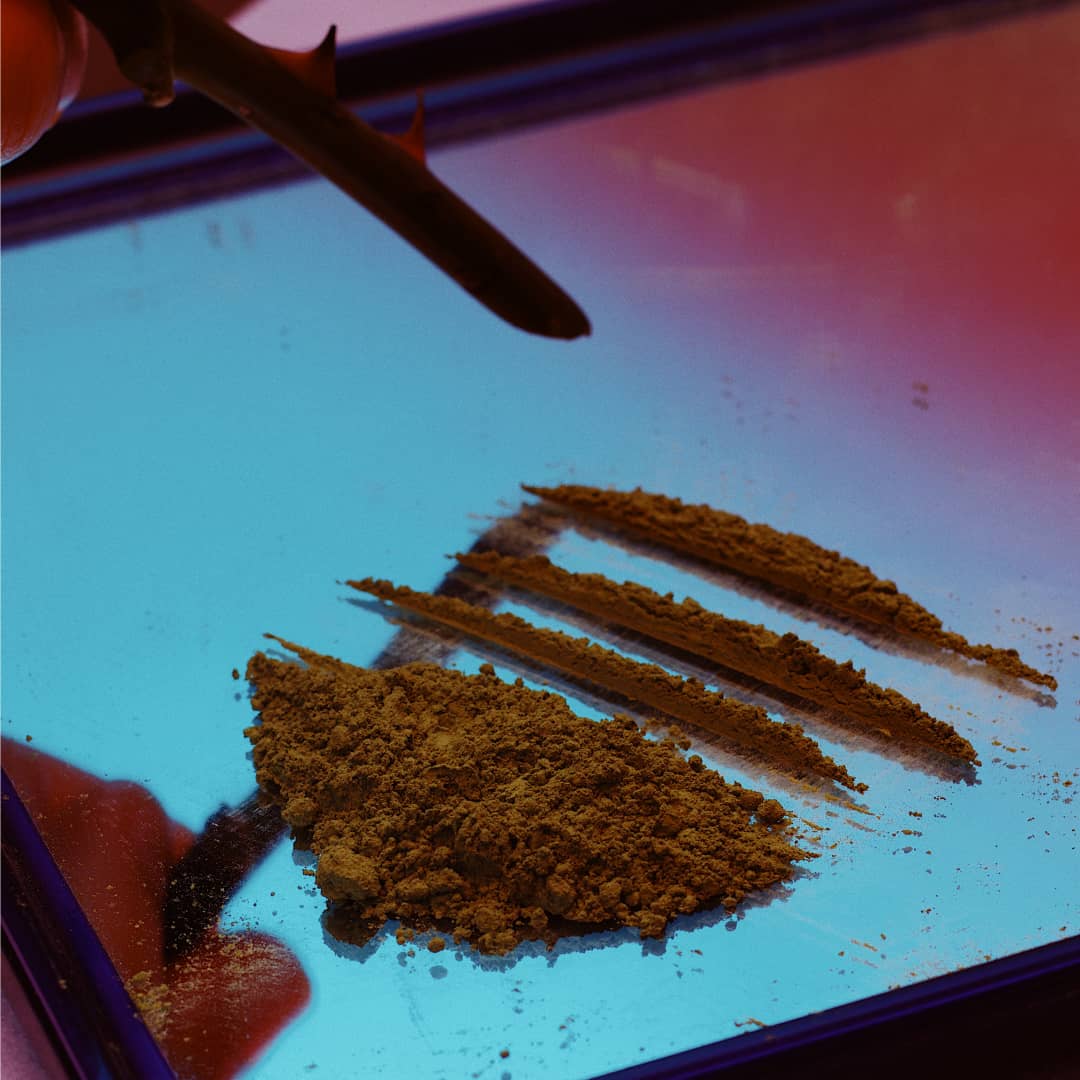 Lines of brown powder are set out suggestively on a mirror with a thorny rose stem being held above them 